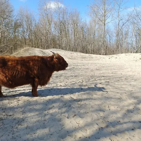 House Bonna - Free Parking & Bikes アパート *