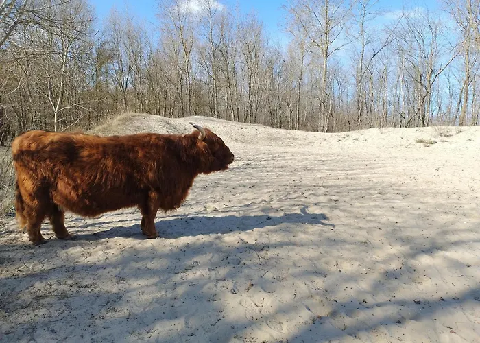 House Bonna - Free Parking & Bikes アパート *